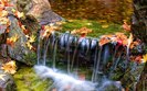 Beaver_dam_-_images_desktop_wallpaper