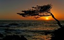 sunset_1680x1050_wallpaper