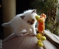 DSC04901