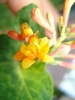 DSC07678