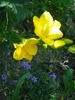 DSC07547