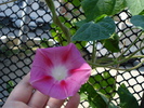 DSC07550