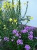 DSC07557