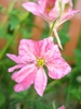 DSC07657