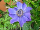 DSC07658