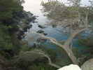 DSC06546