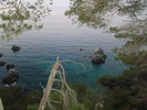 DSC06547