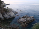 DSC06585