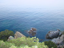 DSC06564