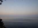 DSC06565