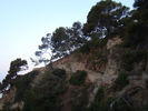 DSC06581