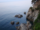 DSC06584