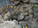 DSC06588