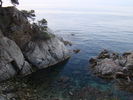 DSC06589