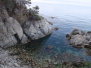 DSC06590