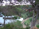 DSC06591