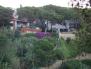 DSC06596
