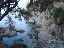 DSC06602