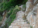 DSC06604