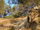 DSC06635