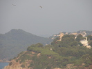 DSC06642