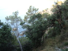 DSC06644