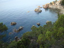 DSC06645