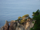 DSC06651