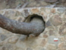 DSC06654