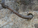 DSC06655
