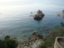 DSC06677