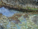 DSC06709