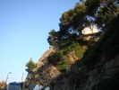DSC06728