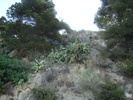 DSC06729