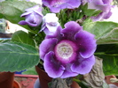 DSC04562
