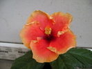 DSC04560
