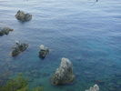 DSC09931