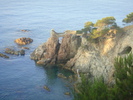 DSC09933