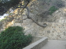 DSC09939