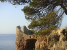 DSC09976