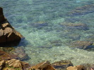 DSC09787