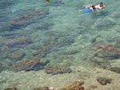 DSC09788