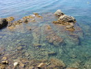 DSC09790