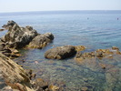 DSC09791