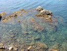 DSC09793