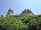 DSC09796