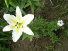 P7043828