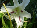 P7183897