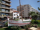 DSC05767