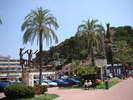 DSC05775